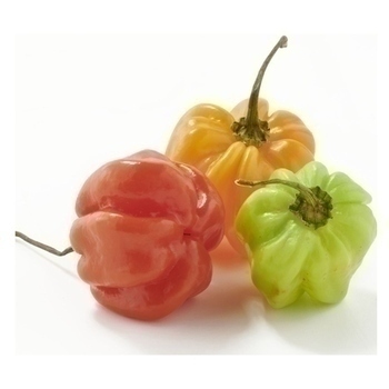 PIMENT ANTILLAIS VRAC AU KG - Fruits et lgumes - Promocash Colmar