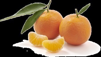 CLEMENTINE FEUILLE VRAC AU KG - Fruits et lgumes - Promocash Fougres