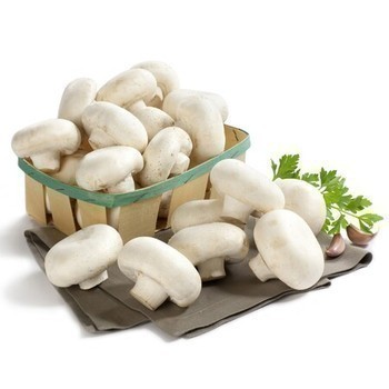 CHAMPIGNON A FARCIR KG - Fruits et lgumes - Promocash Angouleme