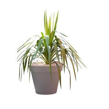 POT TOSCANE DIAM 58 CM -   TAU - Bazar - Promocash Cherbourg