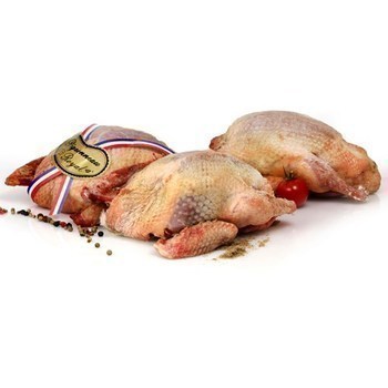 Pigeonneau Royal prt  cuire 1 kg - Boucherie - Promocash Castres