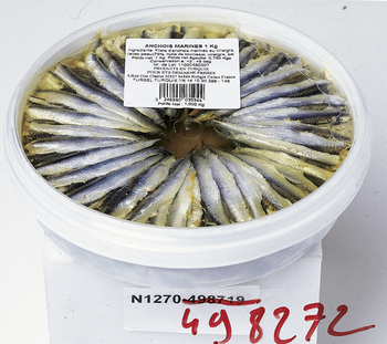 Anchois marine 1 kg - Saurisserie - Promocash Quimper