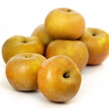 Pommes Canada Grise EQR 4 kg - Fruits et lgumes - Promocash Granville
