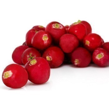 Radis rouges 250 g - Fruits et lgumes - Promocash Ales