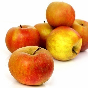 Pommes Boskoop 13 kg - Fruits et lgumes - Promocash Granville