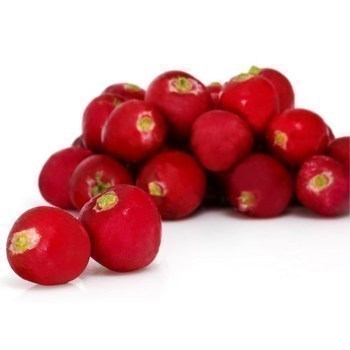 Radis rouges 12x250 g - Fruits et lgumes - Promocash Rouen