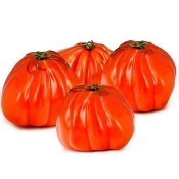 TOMATE COTELE ROUGE VRAC AU KG - Fruits et lgumes - Promocash Pontarlier