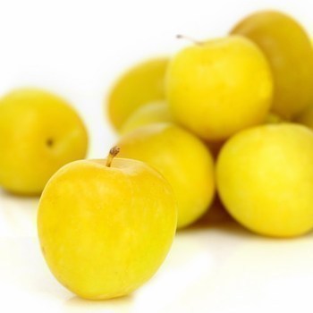 Prunes Jaunes 5 kg - Fruits et lgumes - Promocash Douai