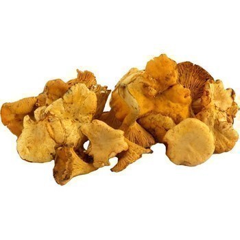 Girolles 1 kg - Fruits et lgumes - Promocash Sete