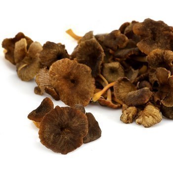 Chanterelles grises - Fruits et lgumes - Promocash Valence