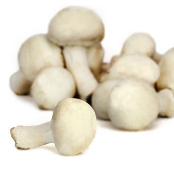 Champignons blancs 250 g - Fruits et lgumes - Promocash Grasse