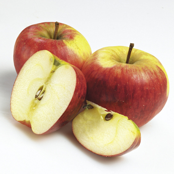 Pommes elstar - 7 kg - origine France - 75/80 - Fruits et lgumes - Promocash Quimper