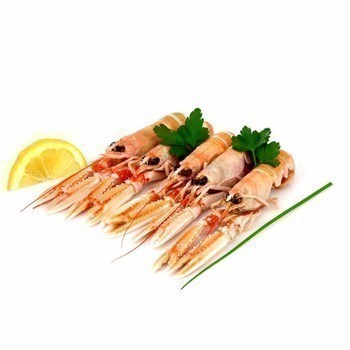 Langoustines 16/20 Bretagne 3 kg - Mare - Promocash Aix en Provence