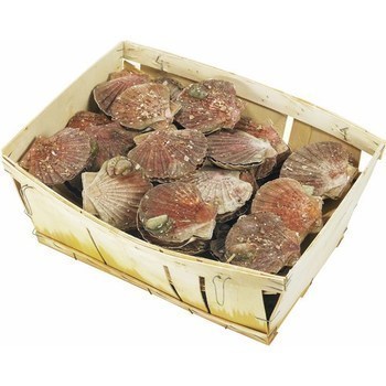 Coquilles Saint-Jacques blanches 6 kg - Mare - Promocash Castres