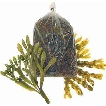 Algue dcoration Ascophyllum - Mare - Promocash Prigueux