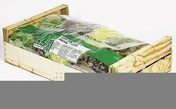 Salades panaches - 8 pices - origine CEE - catgorie 1 - en colis - Fruits et lgumes - Promocash Metz