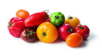 Kg tomate gourmande melange fr - Fruits et lgumes - Promocash Charleville