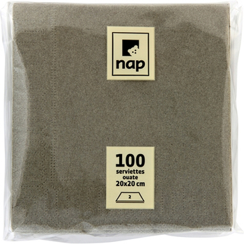 Serviettes ouate 2 plis argile 20x20 cm - Bazar - Promocash Fougres