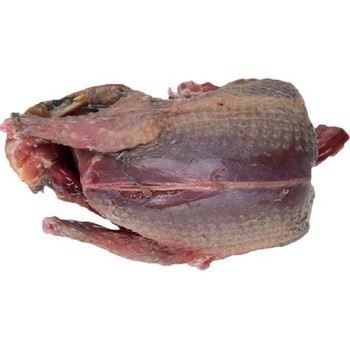 Pigeon ramier PAC - Boucherie - Promocash Castres