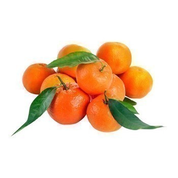 CRF BIO CLEM CORSE  BQ 500G FR - Fruits et lgumes - Promocash Clermont Ferrand