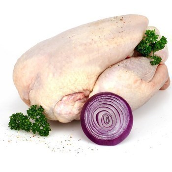 Poulet blanc PAC 100% vgtaux cal 1,5 kg - Boucherie - Promocash Dunkerque