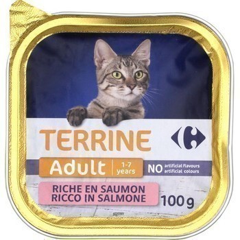 Terrine au saumon pour chat 100 g - Epicerie Sale - Promocash PROMOCASH VANNES