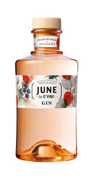 70CL GIN JUNE PECHE 37.5%V - Alcools - Promocash Toulouse