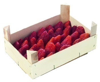 FRAISE IMPORT 1KG - Fruits et lgumes - Promocash Douai