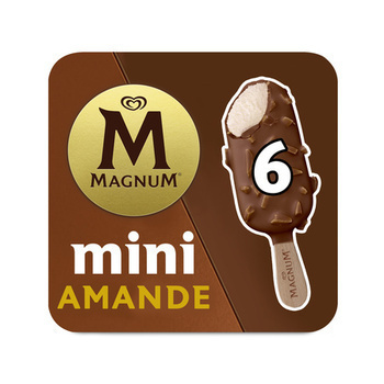 6 BAT MINI MAGNUM AMANDE 276G - Surgels - Promocash Saint Malo