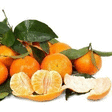 CLEMENTINE CORSE VRAC AU KG - Fruits et lgumes - Promocash Fougres