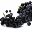 RAISIN NOIR VRAC - Fruits et lgumes - Promocash Dunkerque