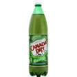 Soda Ginger Ale aux extraits naturels de gingembre - Brasserie - Promocash Albi