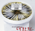 Anchois marine 1 kg - Saurisserie - Promocash Promocash guipavas