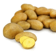Pommes de terre non lav?es 25 kg - Fruits et lgumes - Promocash Dunkerque
