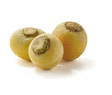 Navet boule d or fr - Fruits et lgumes - Promocash Chambry