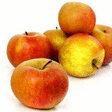 Pommes Boskoop 13 kg - Fruits et lgumes - Promocash Granville