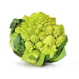 Chou Romanesco x6 - Fruits et légumes - Promocash Boulogne