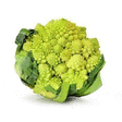 Chou Romanesco x6 - Fruits et lgumes - Promocash Rouen