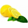 CITRON JAUNE FEUILLE VRAC KG - Fruits et lgumes - Promocash Beauvais