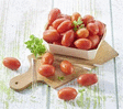 TOMATE CERISE ALLONGEE VRAC KG - Fruits et lgumes - Promocash LA TESTE DE BUCH