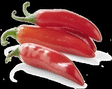 PIMENT DOUX VRAC KG - Fruits et lgumes - Promocash Dax