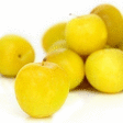 Prunes Jaunes 5 kg - Fruits et lgumes - Promocash RENNES