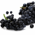 Raisin noir Lavalle 8 kg - Fruits et lgumes - Promocash Mulhouse