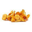 Chanterelle jaune - Fruits et lgumes - Promocash LANNION