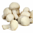Champignons blancs pieds coupés vrac 3 kg - Fruits et légumes - Promocash Quimper