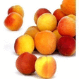 Abricots confiture 5 kg - Fruits et lgumes - Promocash Boulogne