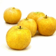 Pommes Chanteclerc EQC 14 kg - Fruits et lgumes - Promocash Ales