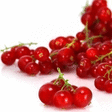 Groseilles rouges 125 g - Fruits et légumes - Promocash LA TESTE DE BUCH