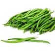 Haricots verts fins 4 kg - Fruits et lgumes - Promocash Bergerac