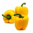 Poivrons jaunes 5 kg - Fruits et lgumes - Promocash Millau